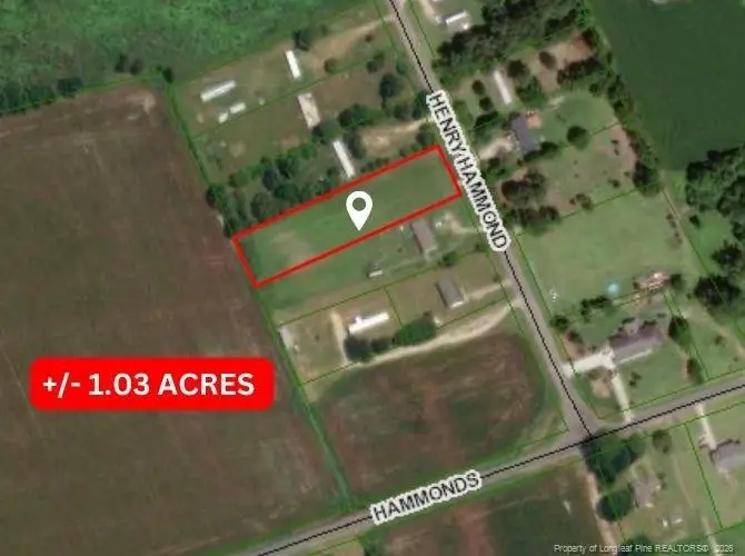 Henry Hammond Road, Lumberton, NC 28360 - #1