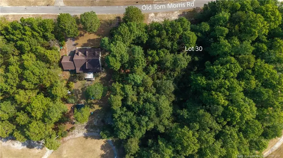 Old Tom Morris Road, Garland, NC 28441 - #3