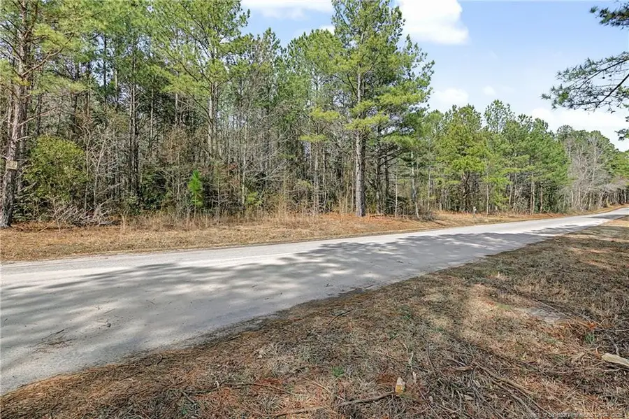 Creeksville Church Road, Spring Lake, NC 28390 - #3