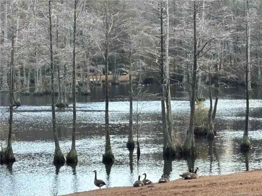 3342 Vassar Circle, Fayetteville, NC 28306 - #3