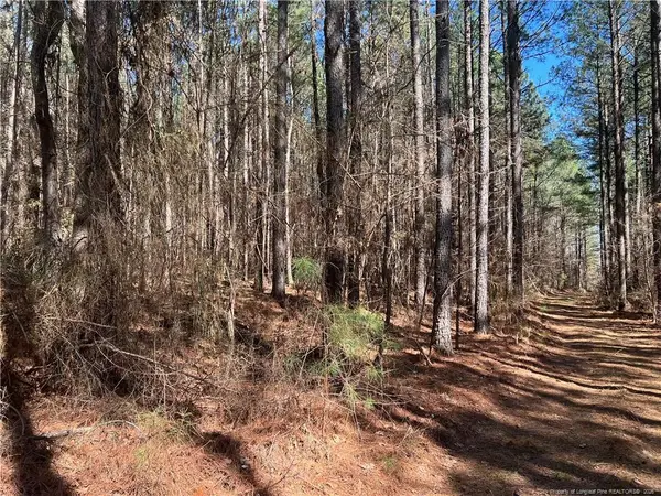 0 Tempting Church Road, Sanford, NC 27330