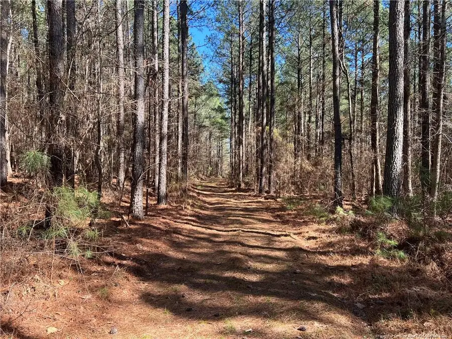 0 Tempting Church Road, Sanford, NC 27330 - #2