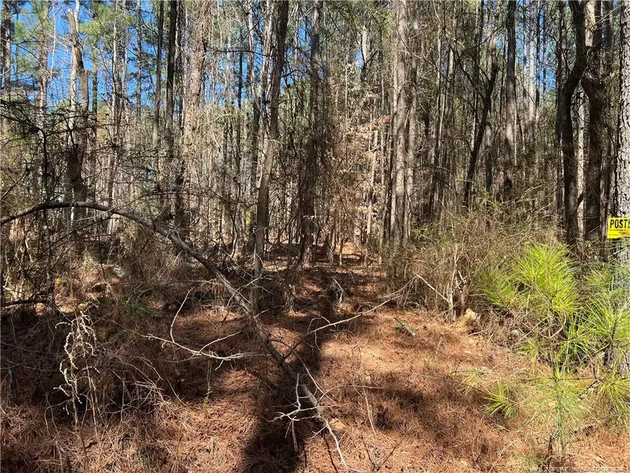 0 Tempting Church Road, Sanford, NC 27330 - #3