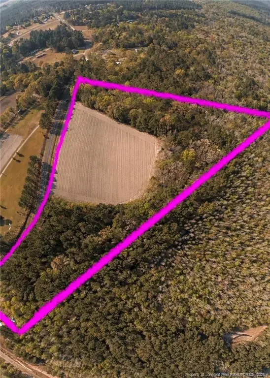 Ruth Vinson Road, Autryville, NC 28318 - #2