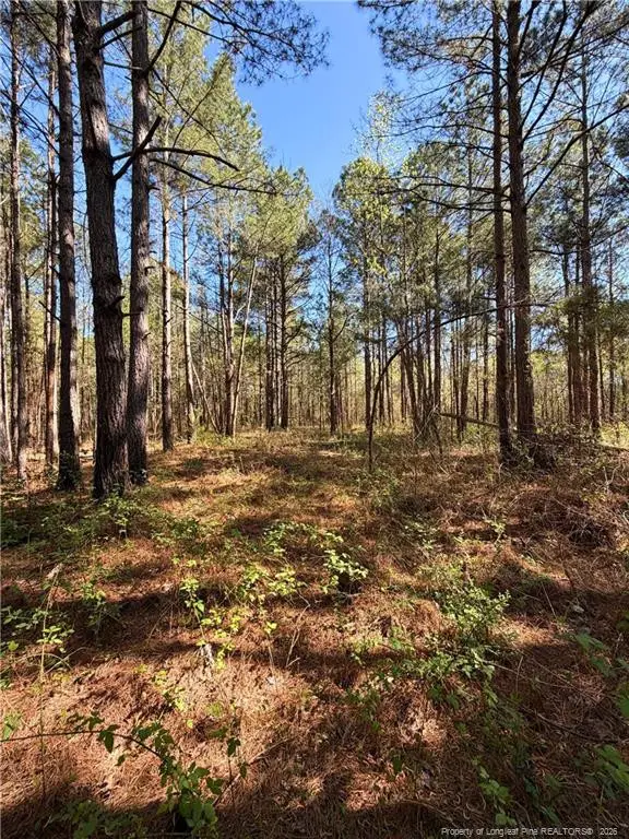 Clark Road, Maxton, NC 28364 - #1