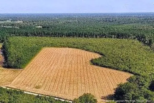 0 Triple B Lane, Autryville, NC 28318 - #3