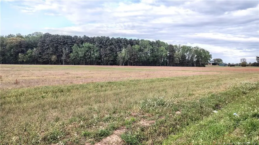 0 Tramway Rd / Hwy 78, Sanford, NC 27330 - #3