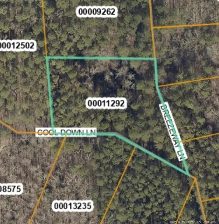 Lot 155 Breezeway Lane, Carthage, NC 28327 - #2