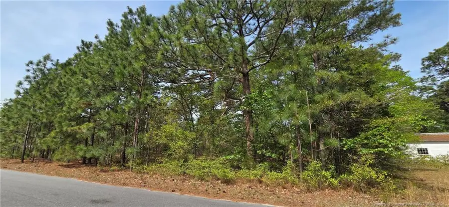 624 Cressida Drive, Fayetteville, NC 28311 - #2