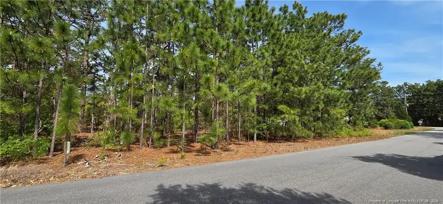 624 Cressida Drive, Fayetteville, NC 28311 - #3