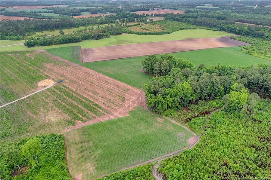 Lot 9 Buie Philadelphus Road, Red Springs, NC 28377 - #2