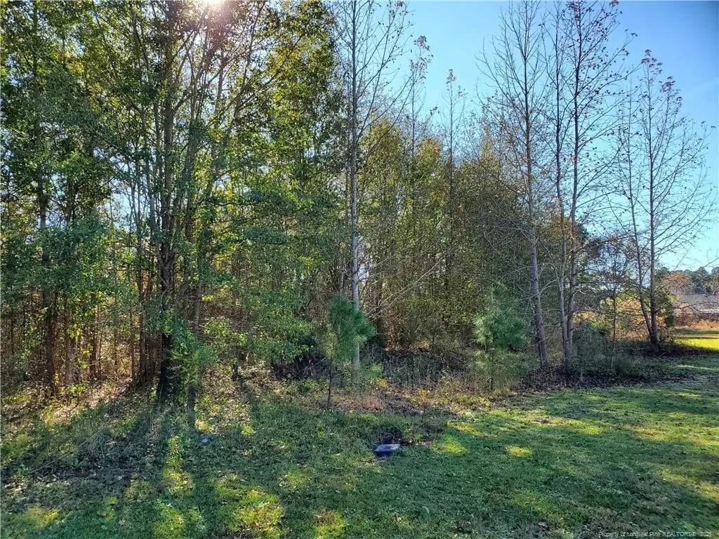220 & 217 Kendall Court, Raeford, NC 28376 - #1