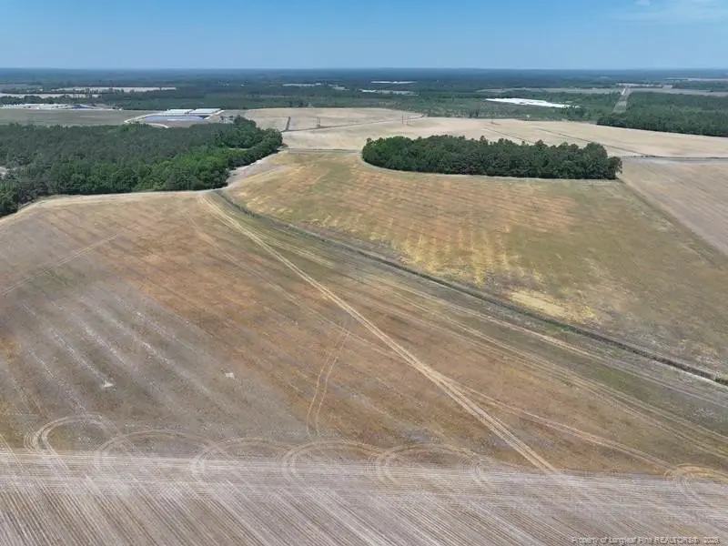 TBD N Duffie Road, Red Springs, NC 28377 - #3