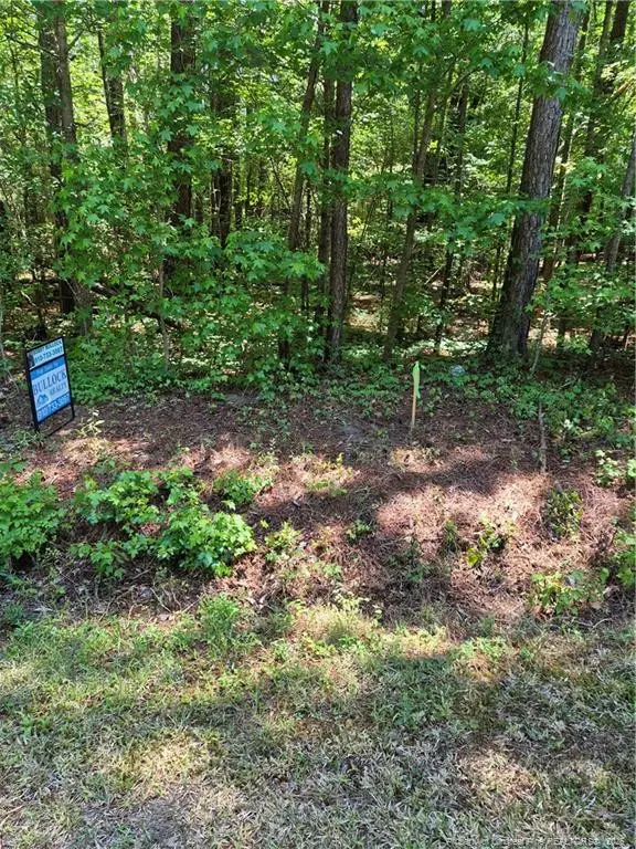Near 294 Airport Road Road, Bladenboro, NC 28320