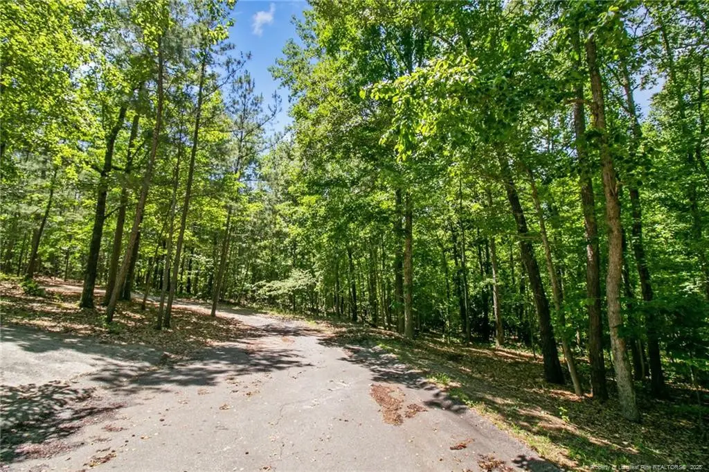 tbd Buggy Drive W, Carthage, NC 28327 - #1