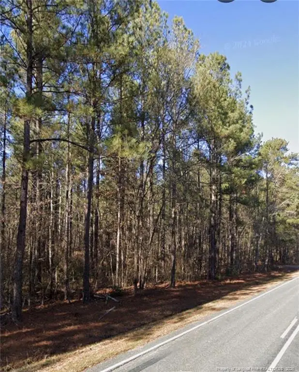 Mcbryde Street, Linden, NC 28356 - #3