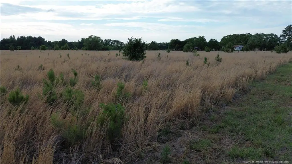Lot 5 Fairley Road, Maxton, NC 28364 - #1
