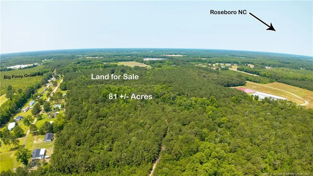 Big Piney Grove Road, Clinton, NC 28328 - #1