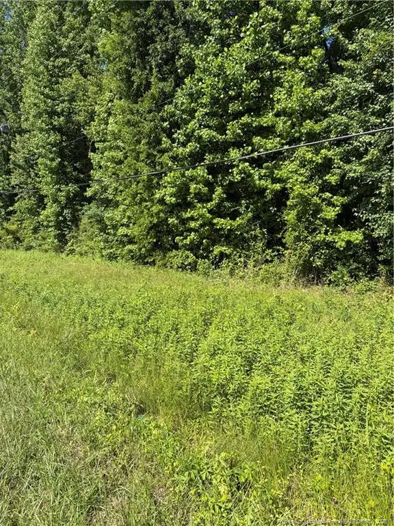 Lemon Springs Road, Sanford, NC 27332