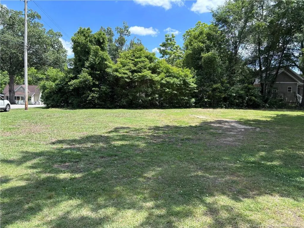 162 Coleman Street, Lumberton, NC 28358 - #1