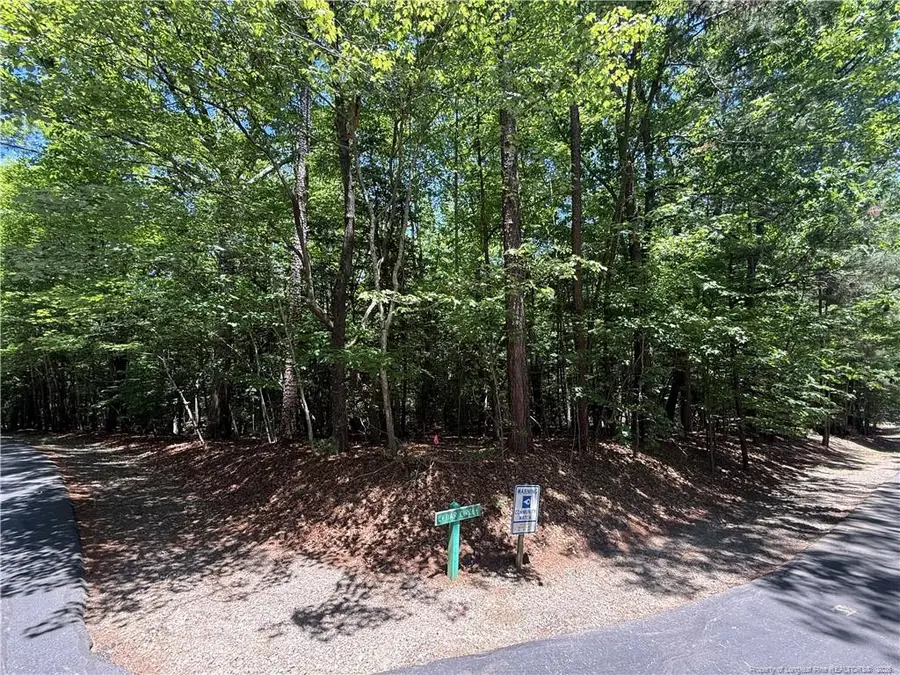 2056 Long Point Trail, Sanford, NC 27332 - #2