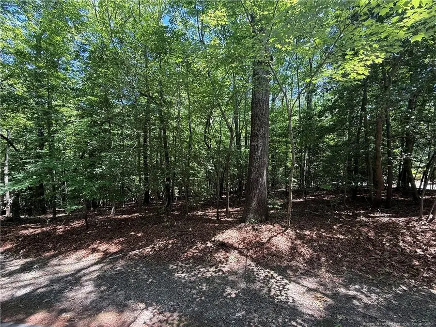 2056 Long Point Trail, Sanford, NC 27332 - #3