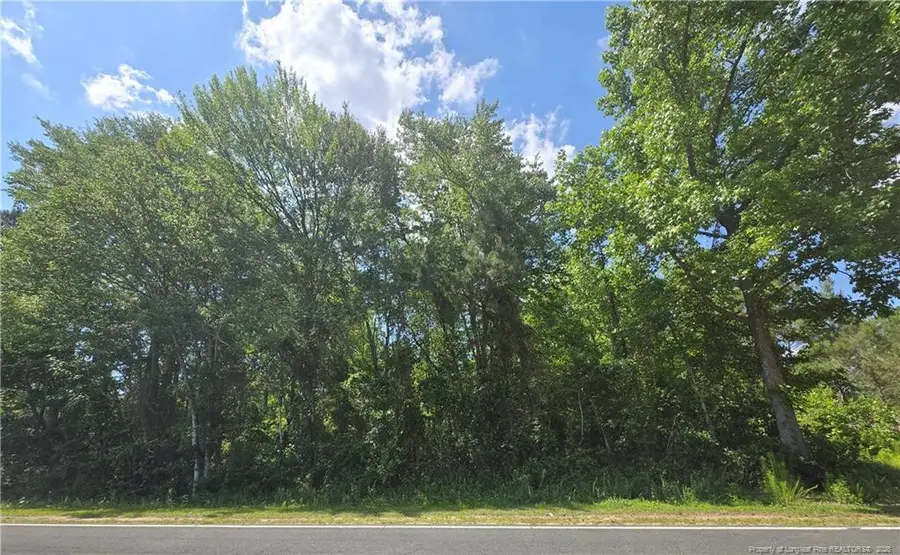 0 Walker Road, Linden, NC 28356 - #2