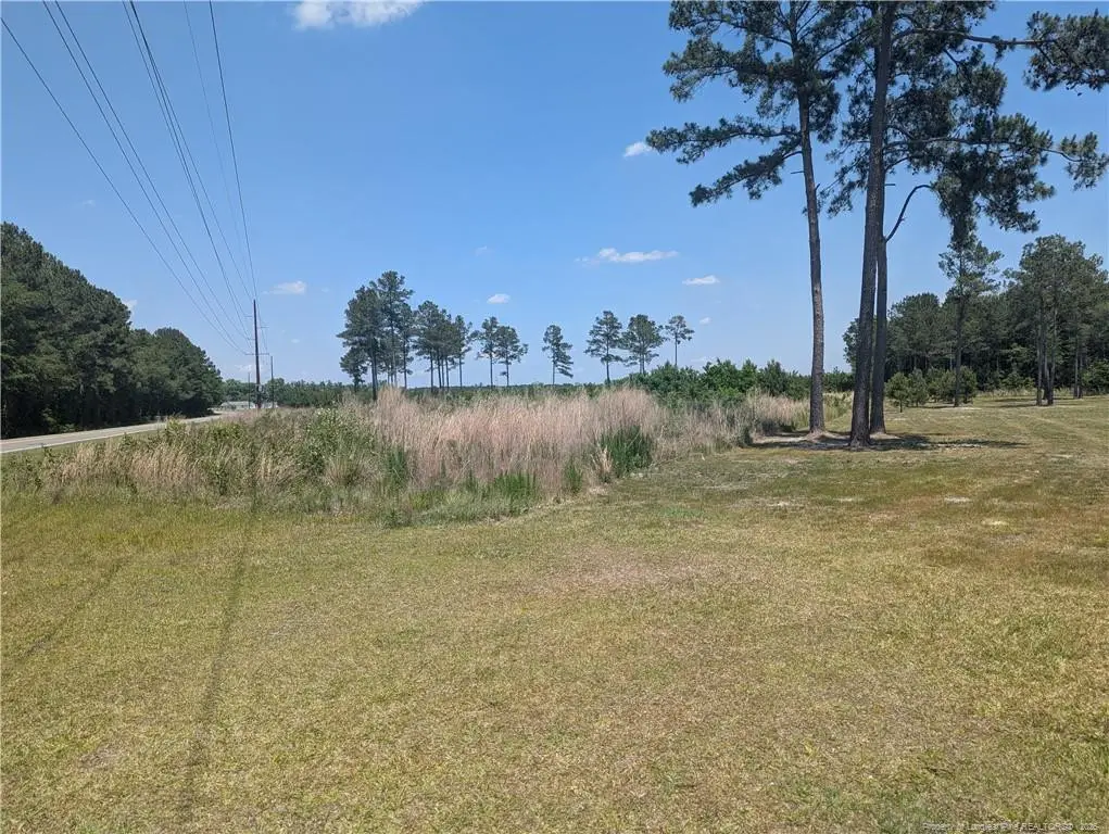Tew Road, Autryville, NC 28318 - #1