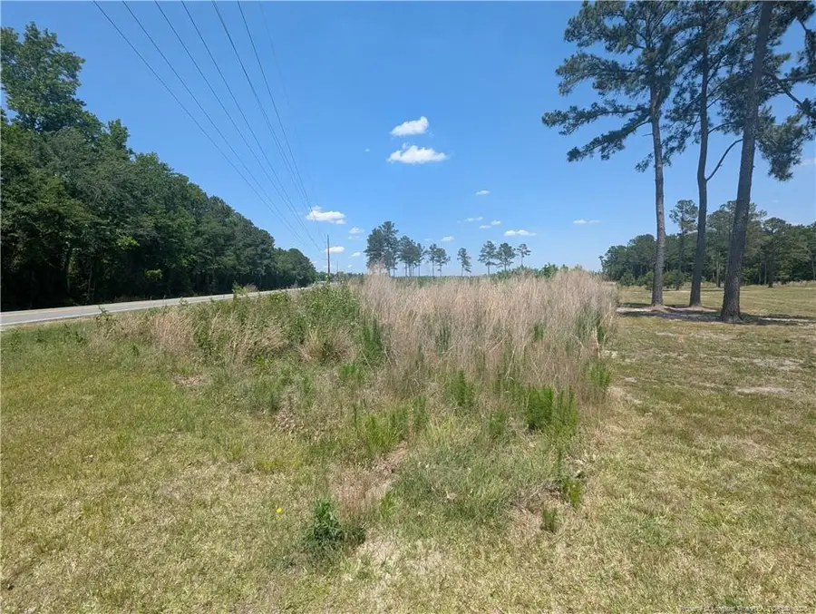 Tew Road, Autryville, NC 28318 - #2