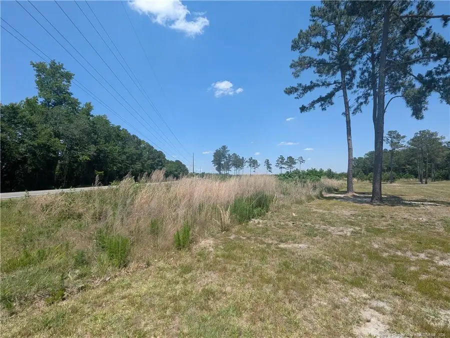 Tew Road, Autryville, NC 28318 - #3