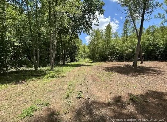 Pointe Mayo Drive, Roxboro, NC 27574 - #3