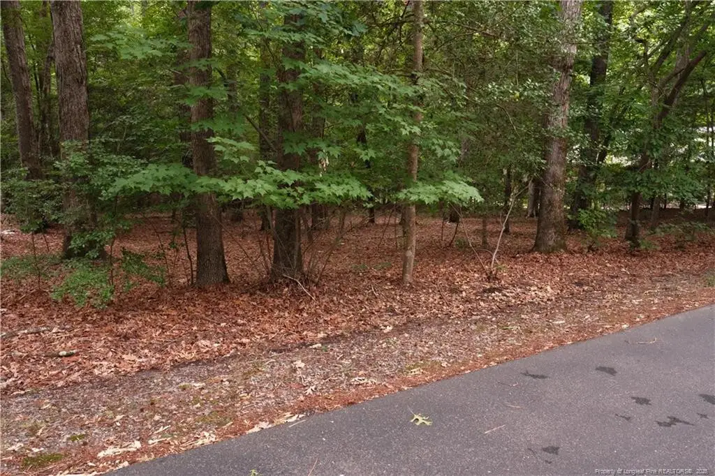 1146 Deerfoot Trail, Sanford, NC 27332 - #1