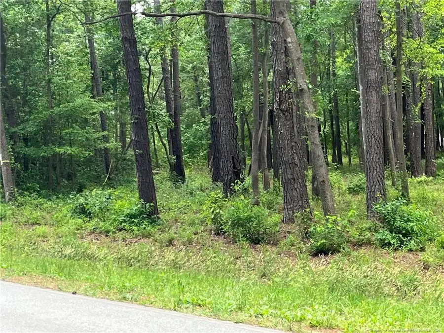 0 Bryant Circle, Maxton, NC 28364 - #3