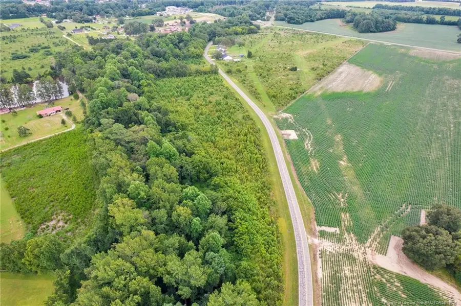 Wallace Mclean Road, Raeford, NC 28376 - #3