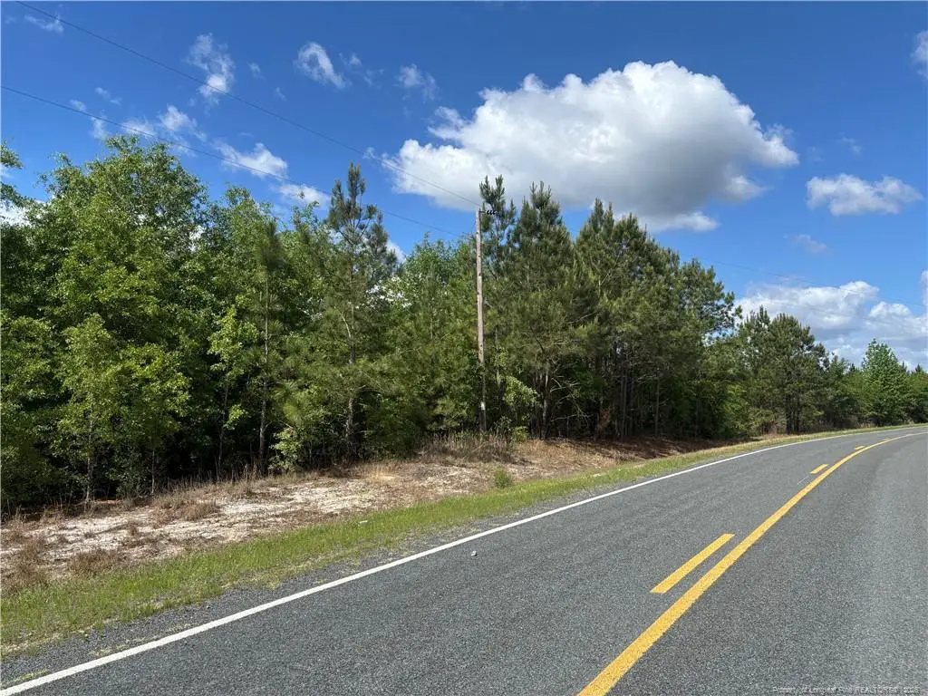 Johnson - (lot N) Road, Fayetteville, NC 28312 - #1