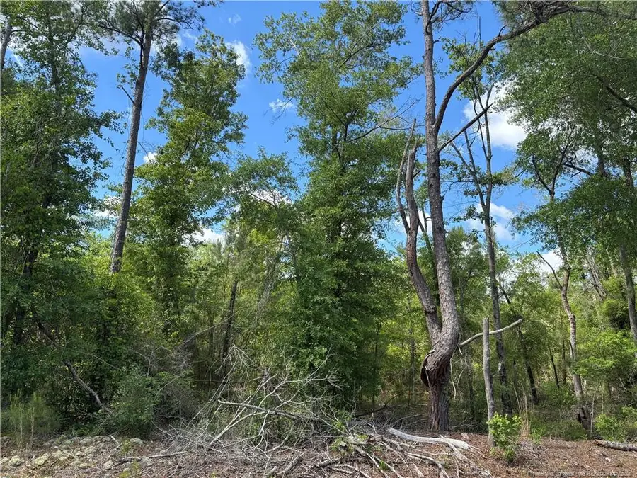 Johnson - (lot J) Road, Fayetteville, NC 28312 - #2