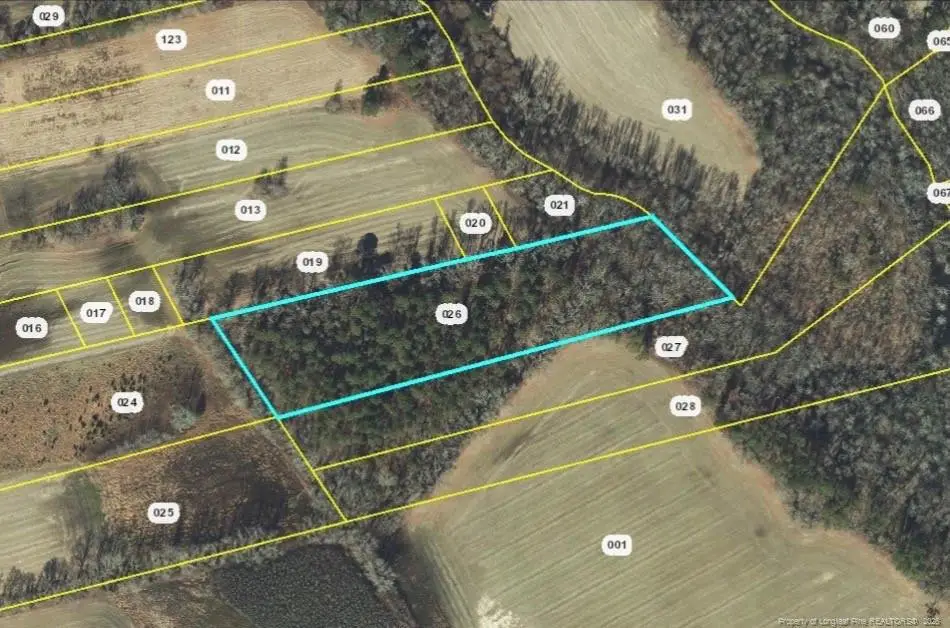 Walter Gibson Road, Raeford, NC 28376 - #1