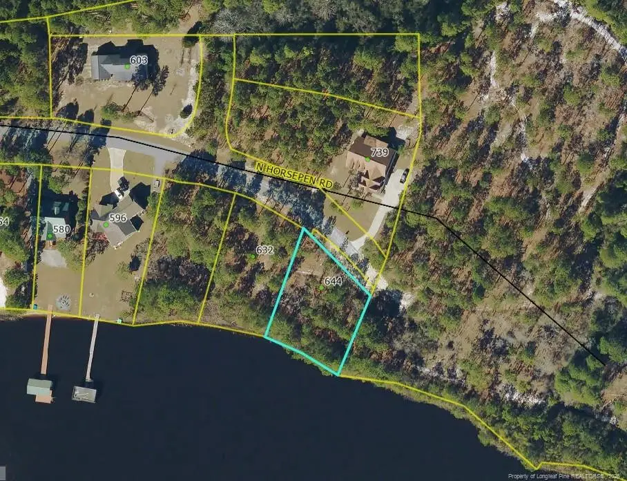 Lot#510 N Horsepen Road, Harrells, NC 28444 - #1