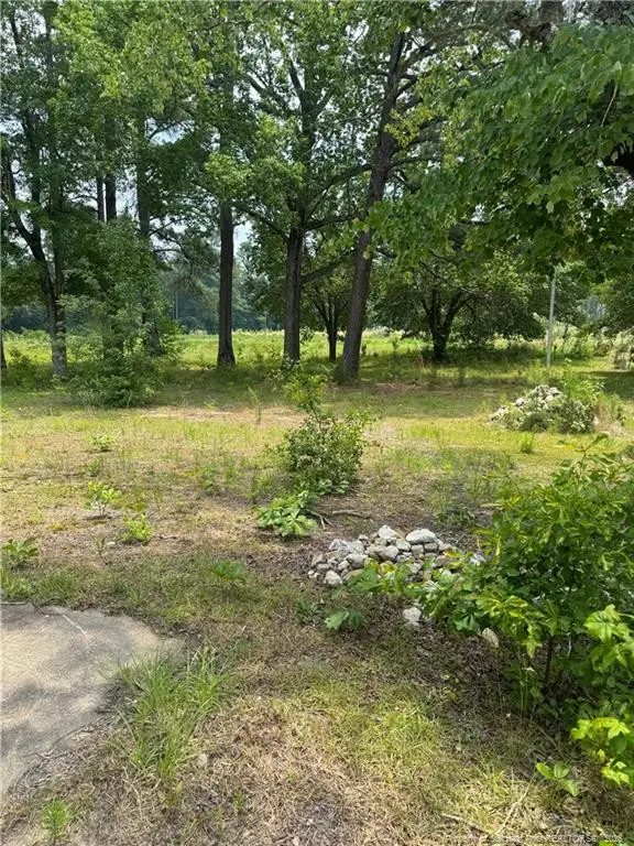 1730 Easterling Drive, Spring Lake, NC 28390 - #2