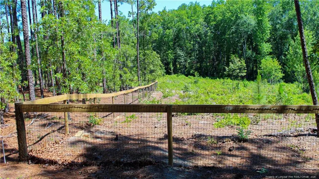 202 Englewood Drive, Raeford, NC 28376 - #1