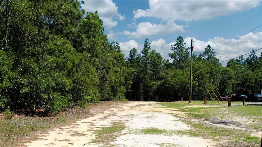 202 Englewood Drive, Raeford, NC 28376 - #2