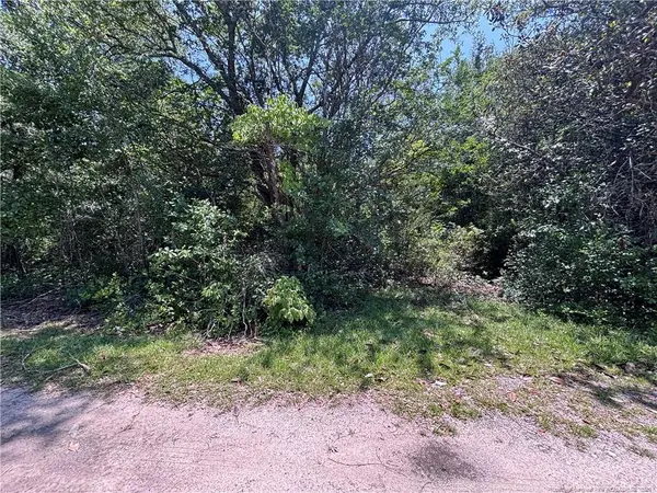 Doby Drive, Raeford, NC 28376