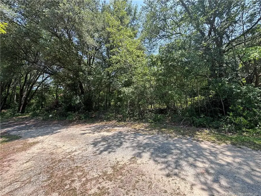 Doby Drive, Raeford, NC 28376 - #3