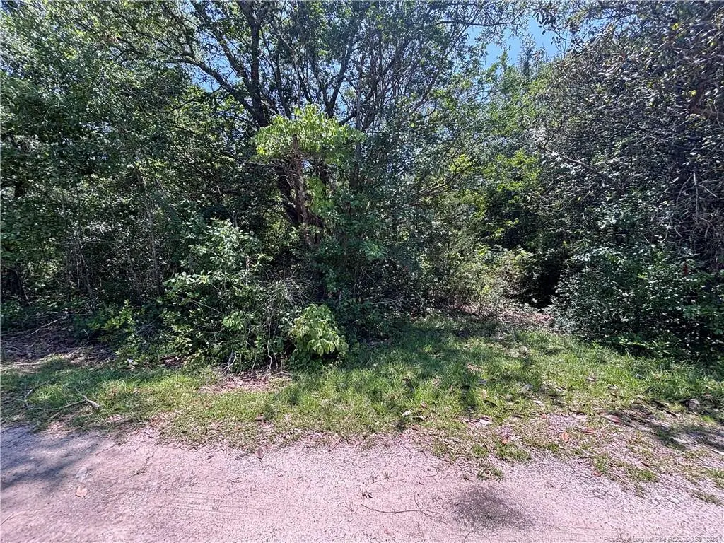 Stevens Street, Raeford, NC 28376 - #1