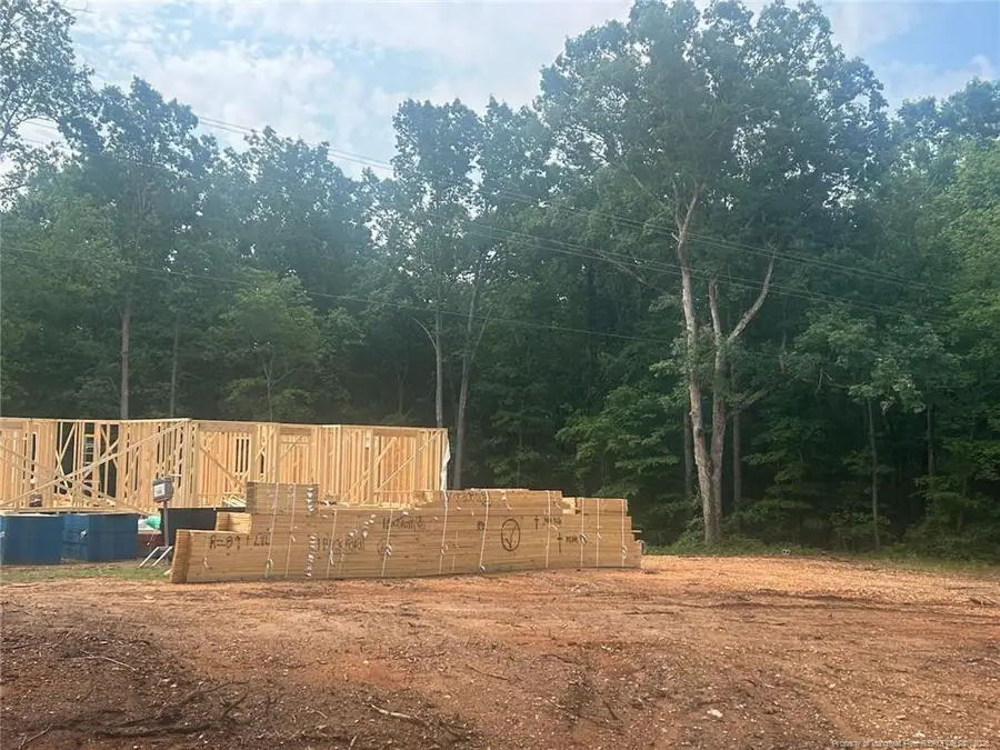 Lot 1 Buckhorn Road, Sanford, NC 27330 - #2