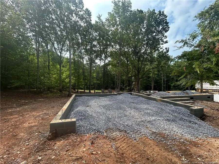 Lot 2 Buckhorn Road, Sanford, NC 27330 - #3