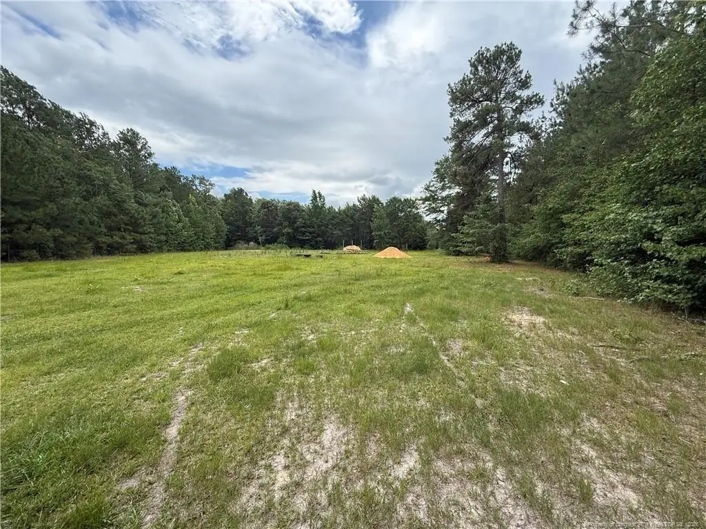 8476 Beaver Dam Road, Autryville, NC 28318 - #1