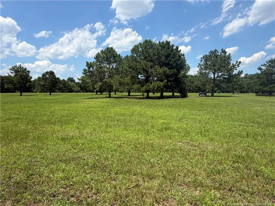 Lt 94 Old Tower Road, Lumberton, NC 28360 - #2