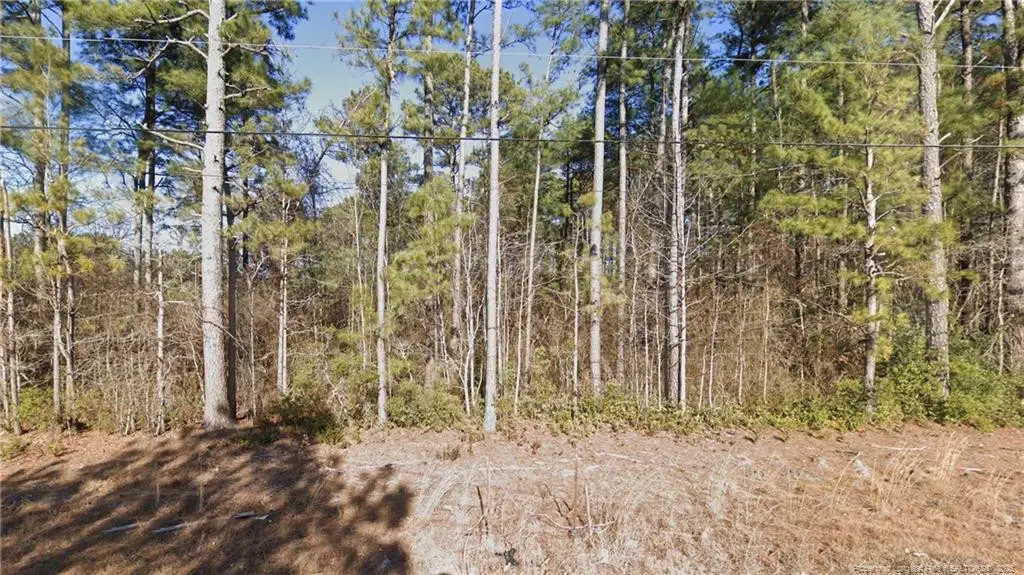 W Parkton Tobermory Road, Parkton, NC 28371 - #1
