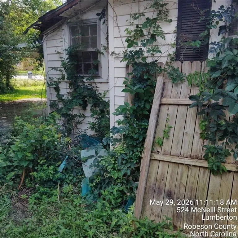524 Mcneill Street, Lumberton, NC 28358 - #3